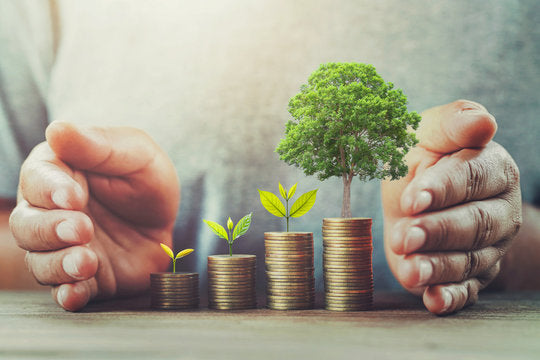 Last Cast - Customer Funding Opportunity With up to 20% Returns