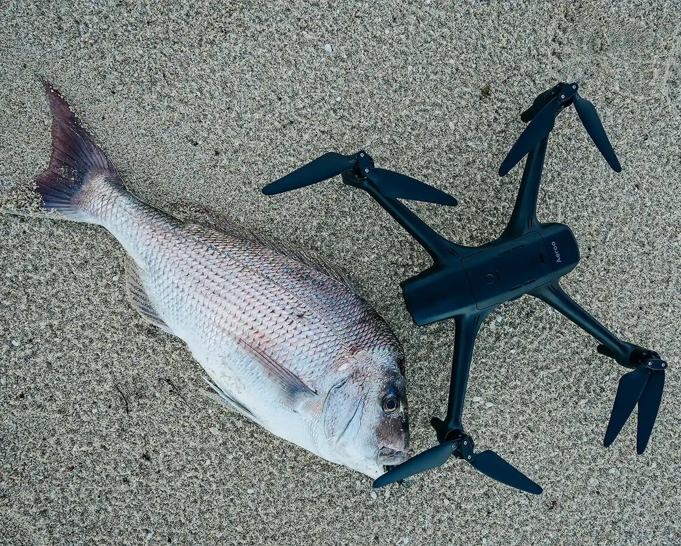 Aeroo Fishing Drone with freshly caught Snapper