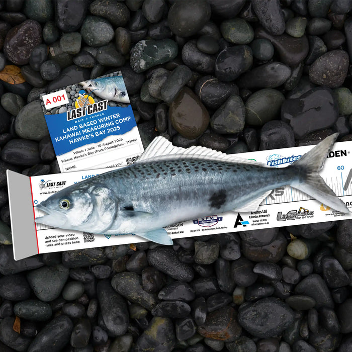 Land Based Winter Kahawai Measuring Comp Hawke's Bay 2025 Entry Ticket with Measuring Mat on rocks measuring Kahawai