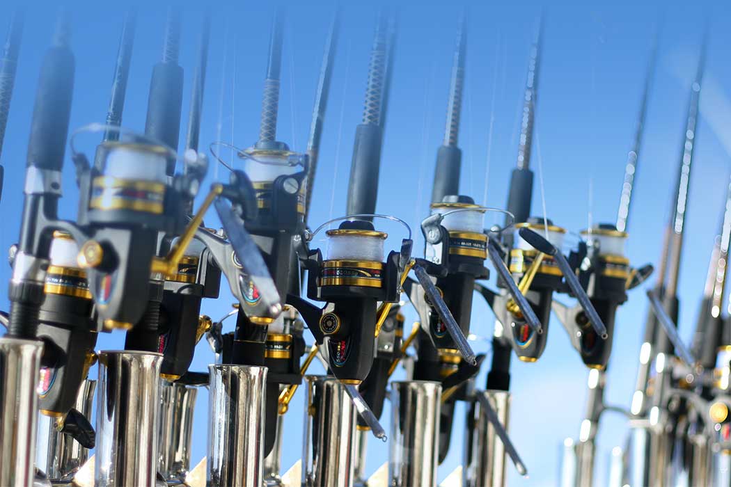 Rods and Reels on Sale